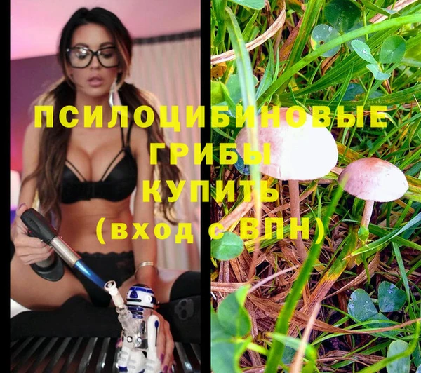 индика Заволжье